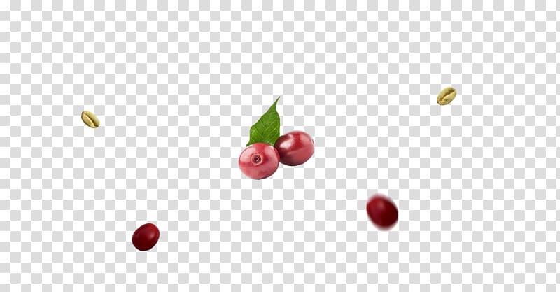 Cranberry Food Lingonberry Pink peppercorn, bg transparent background PNG clipart