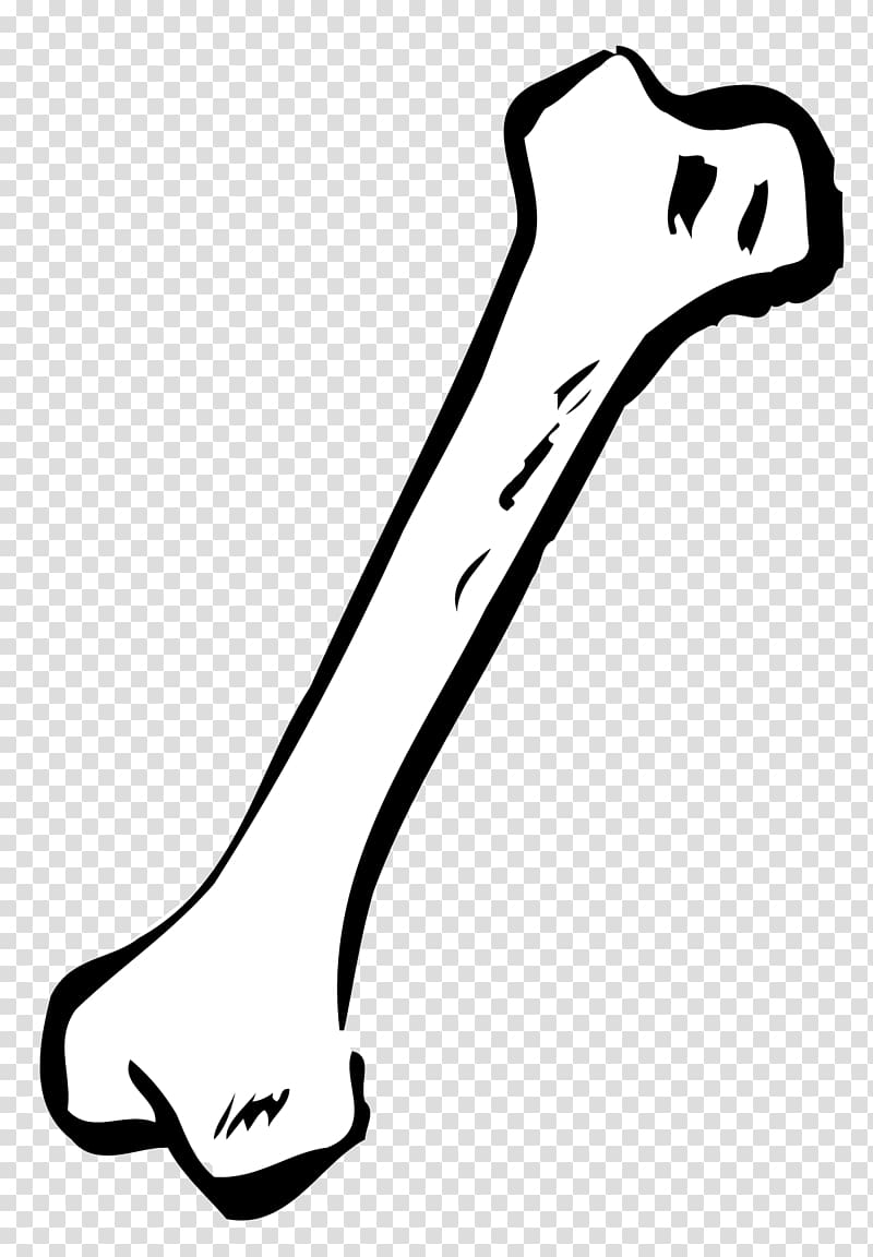 Finger Shoe Black and white Human leg, Bone Free transparent background PNG clipart