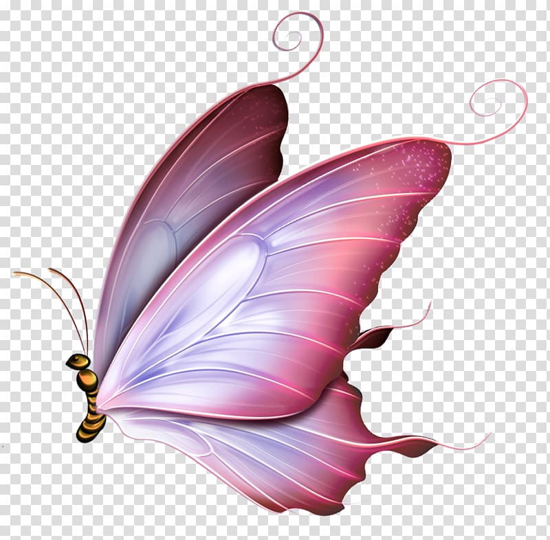 Butterfly Drawing Borboleta, butterfly transparent background PNG clipart