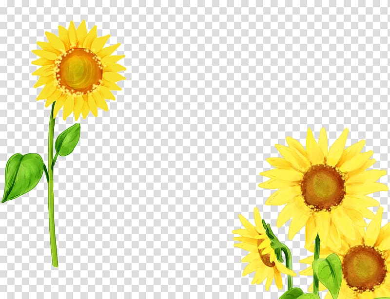 Mother Family Child Illustration, Sunflower 3 transparent background PNG clipart