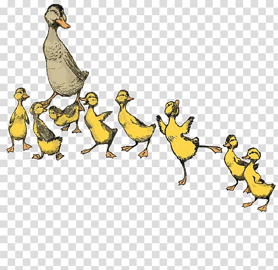 Make Way for Ducklings Boston Performing Arts Dance, duck transparent background PNG clipart