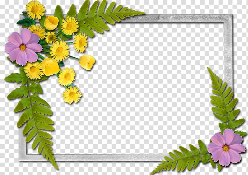 Frames Flower A Butterfly, flowers frame transparent background PNG clipart