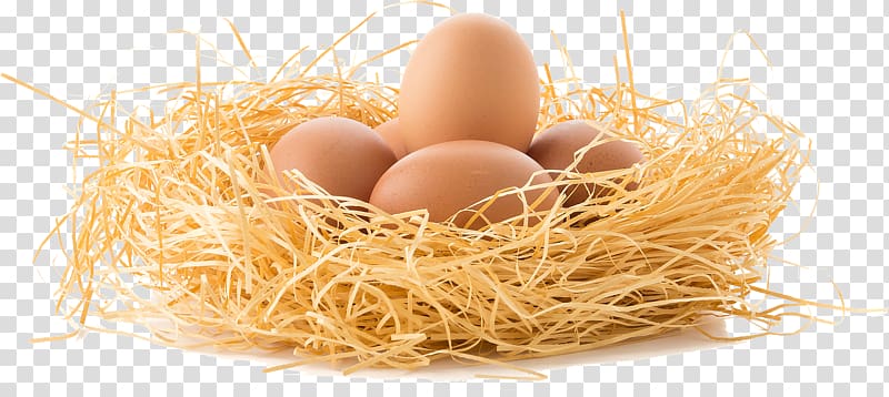Chicken Egg white Boiled egg Breakfast, golden egg transparent background PNG clipart