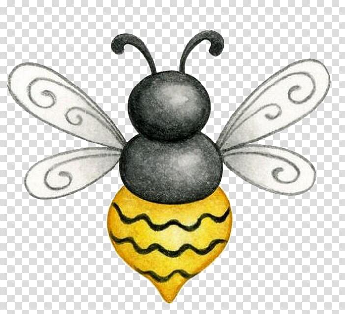 Honey bee Drawing Insect, bee transparent background PNG clipart