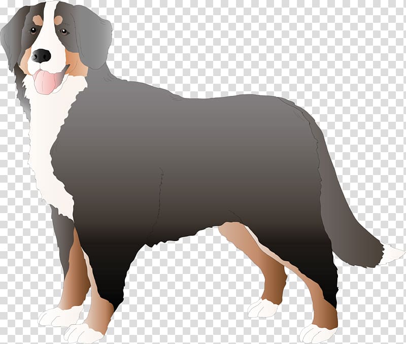 Bernese Mountain Dog Entlebucher Mountain Dog Drawing , Dog transparent background PNG clipart