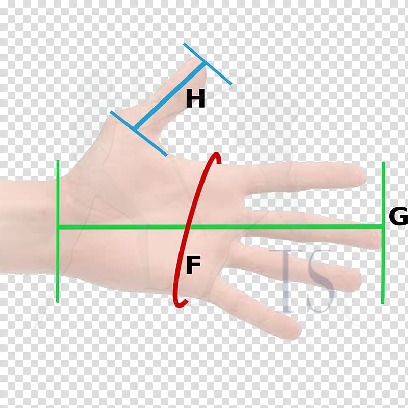 Thumb Hand model Line Medical glove, line transparent background PNG clipart