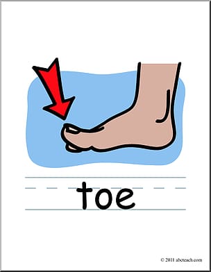 Toe Foot , toe transparent background PNG clipart