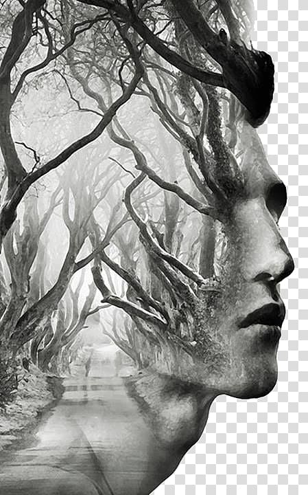 man tree illustration, Dark Hedges Tree Art Multiple exposure, Creative Man Avatar transparent background PNG clipart