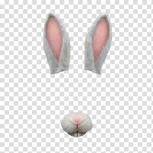 Easter Bunny Rabbit Sticker, filter snap chat transparent background PNG clipart