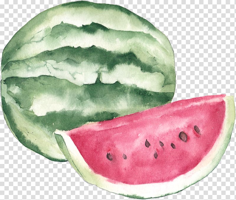 Watercolor painting Lychee Illustration, Watermelon illustration transparent background PNG clipart