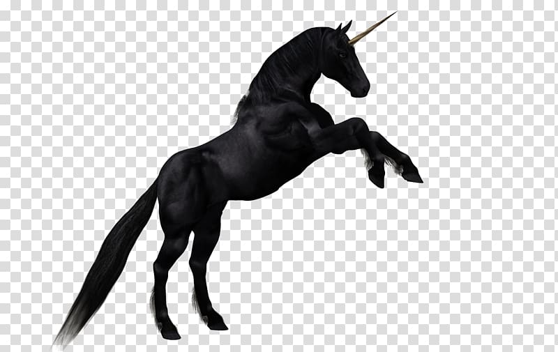 Horse Unicorn Cartoon Drawing, Horse cartoon material,Dark Horse transparent background PNG clipart