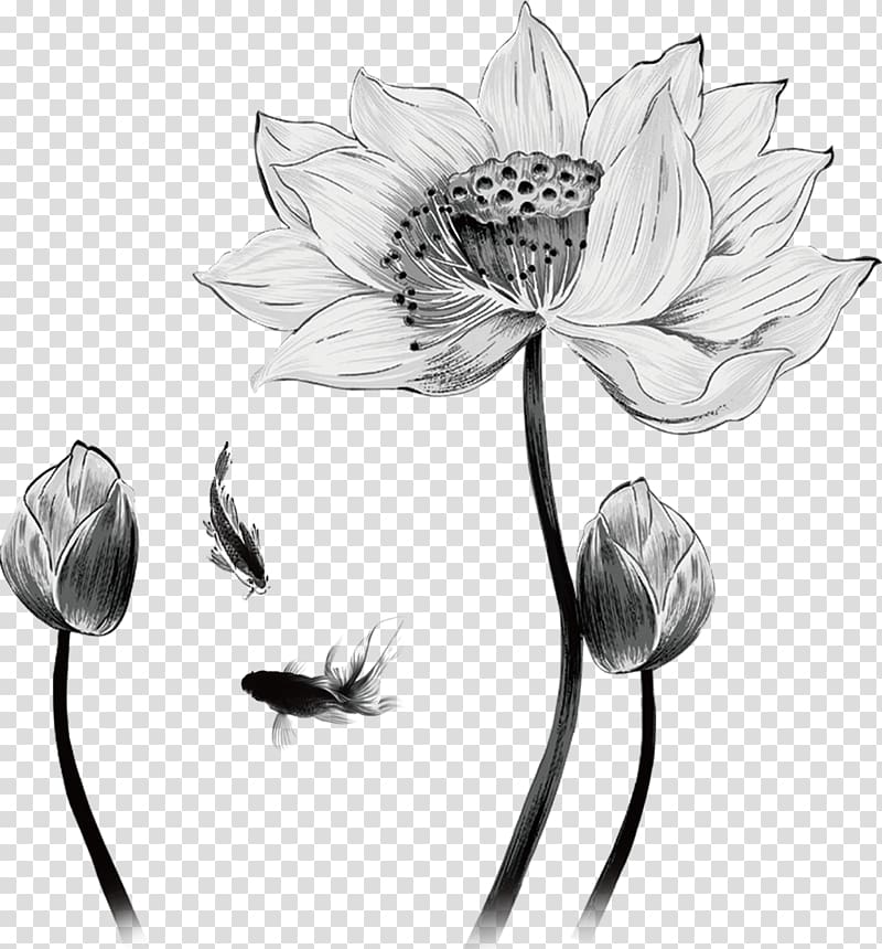 Drawing Nelumbo nucifera, Hand painted sketch lotus decoration transparent background PNG clipart