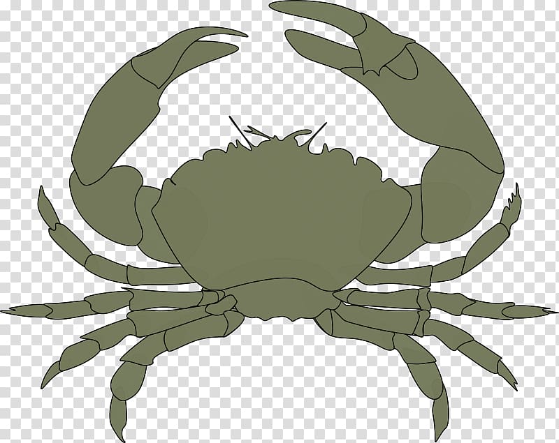 Black pepper crab Christmas Island red crab Florida stone crab , Crustacean transparent background PNG clipart