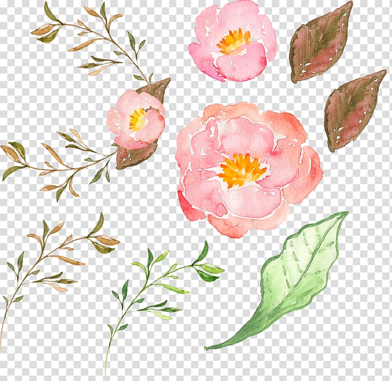 pink flowers beside green leafed illustration, Border Flowers Peony, Pink peony flower transparent background PNG clipart