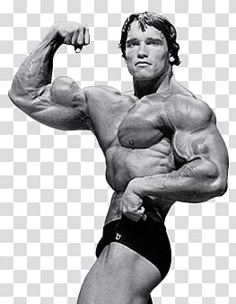grayscale of Arnold Schwarzenegger, Arnold transparent background PNG clipart