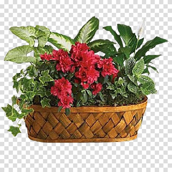 Flower delivery Teleflora Floristry Plants, Greenery Arrangements transparent background PNG clipart