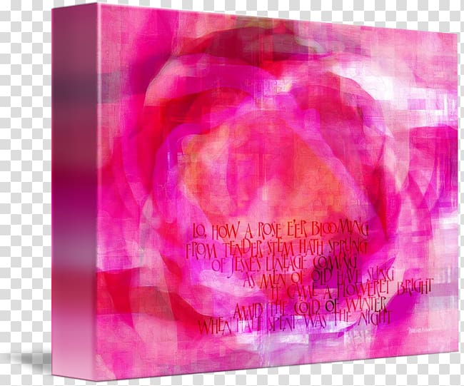 Visual arts Contemporary art Magenta, rose leslie transparent background PNG clipart