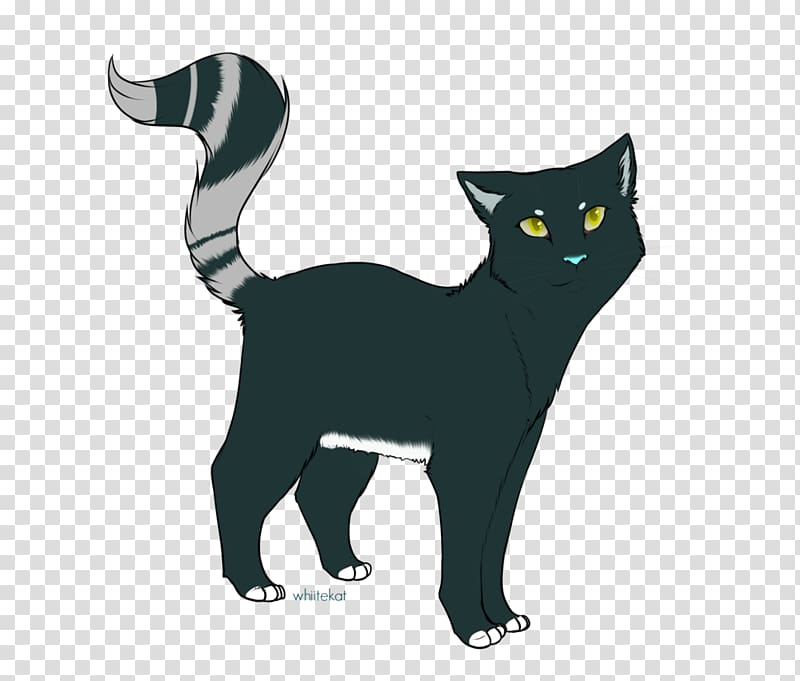 Korat Domestic short-haired cat Whiskers Dog Canidae, Dog transparent background PNG clipart