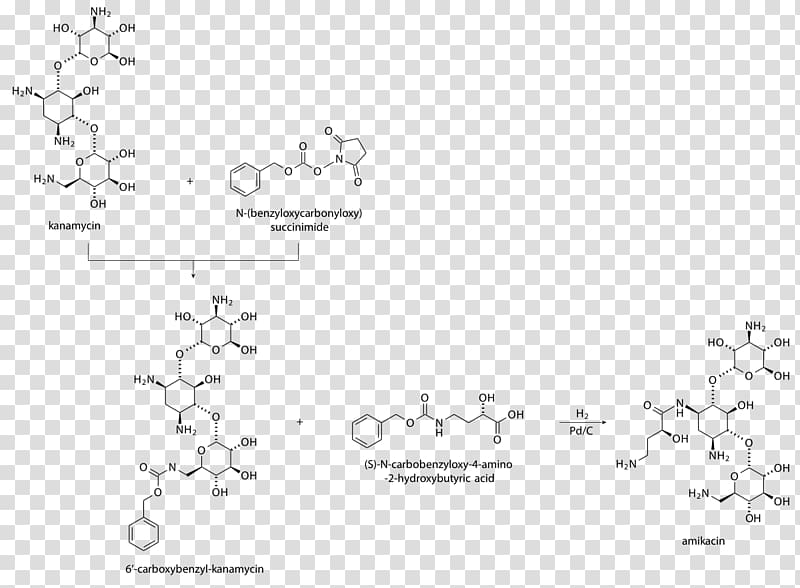 Amikacin Aminoglycoside Kanamycin A Antibiotics Capreomycin, others transparent background PNG clipart