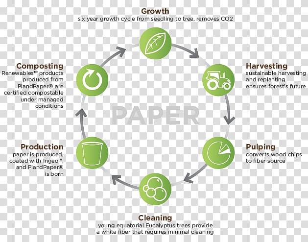 Paper Life-cycle assessment Polylactic acid Product life-cycle management, Life Cycle Of Paper transparent background PNG clipart