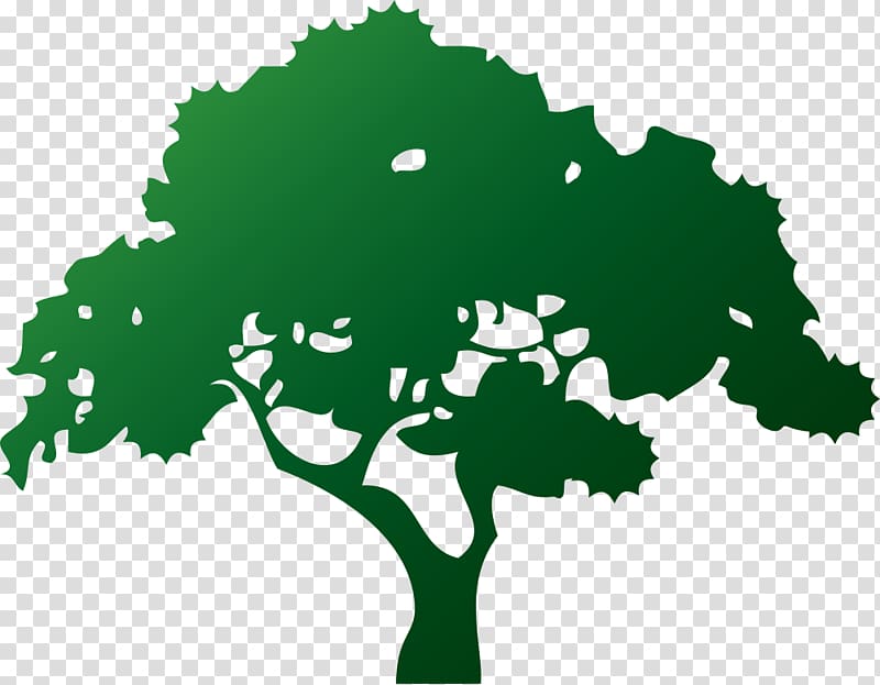 Tree , tree transparent background PNG clipart