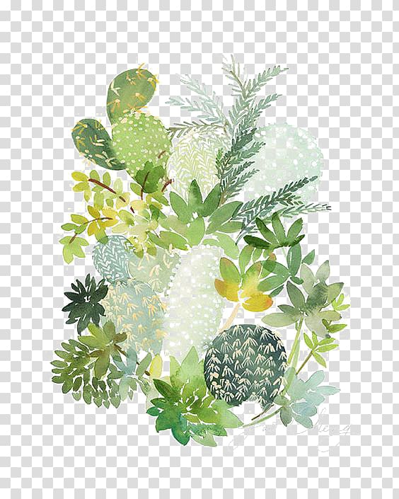 underbrush transparent background PNG clipart