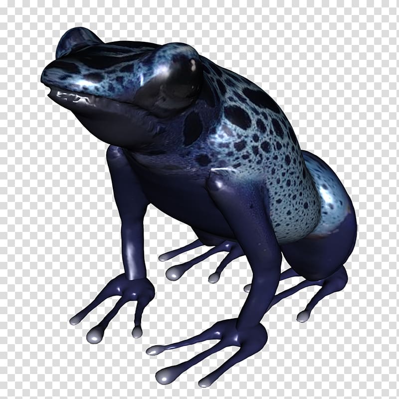 True frog Amphibian Golden toad, frog transparent background PNG clipart