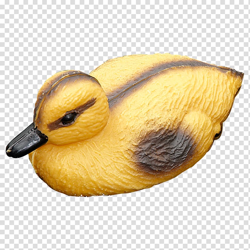 Duck Beak Animal, duckling love transparent background PNG clipart