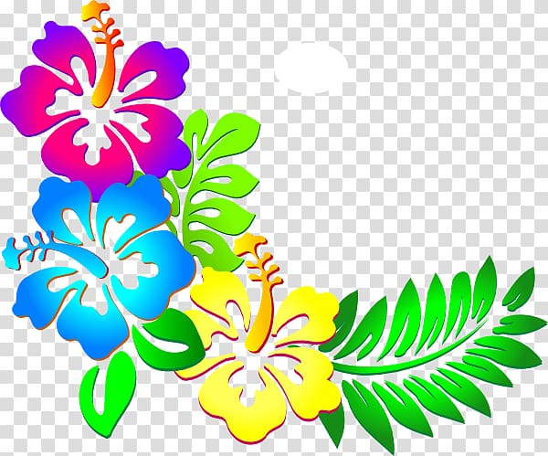multicolored hibiscus , Hawaii Flower , Daffodil Border transparent background PNG clipart