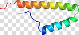 Line Point , line transparent background PNG clipart thumbnail