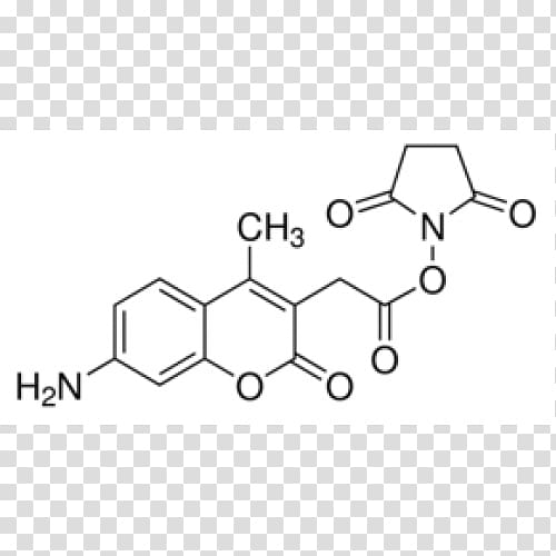 Turmeric Ginger Adaptogen Chemical substance N,N-Dimethyltryptamine, ginger transparent background PNG clipart