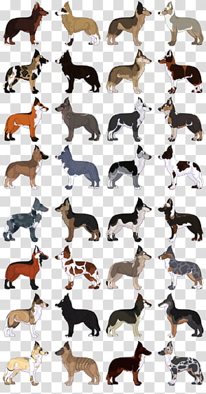 Canidae Dog Mammal Product Font, Dog transparent background PNG clipart thumbnail