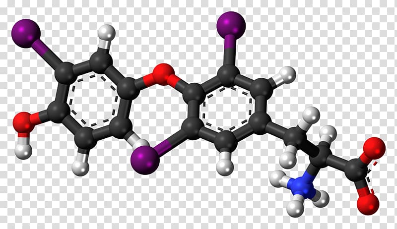 Chemical compound 3,3\'-Diiodothyronine Ethyl cinnamate Cinnamic acid Levothyroxine, transparent background PNG clipart