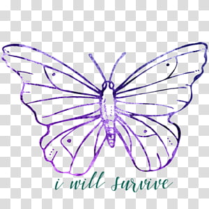 Butterfly , butterfly transparent background PNG clipart thumbnail