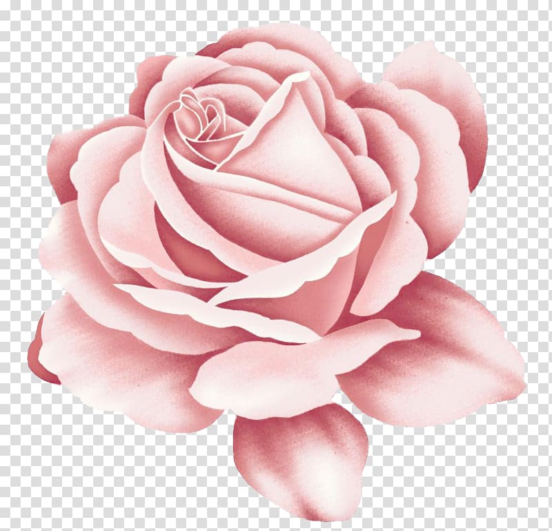 pink flower illustration, Rose Tattoo Pink, Rose transparent background PNG clipart