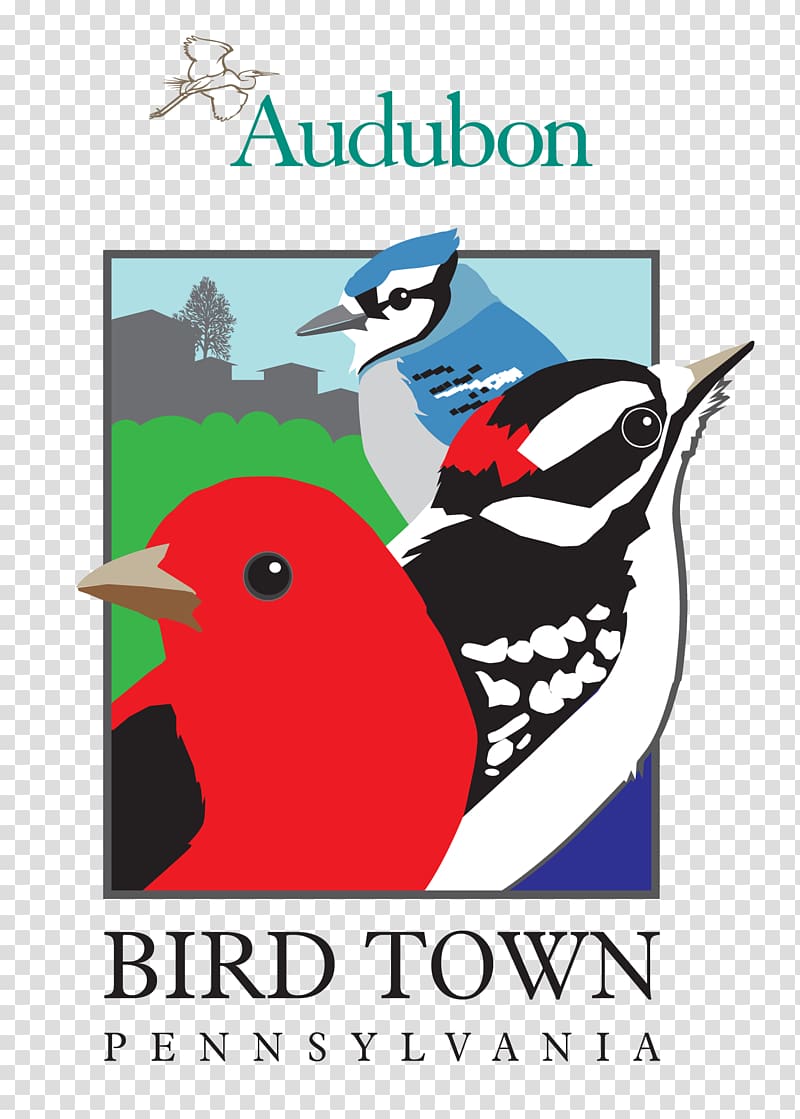 Bird Doylestown Cheltenham Township Mill Grove National Audubon Society, Bird transparent background PNG clipart