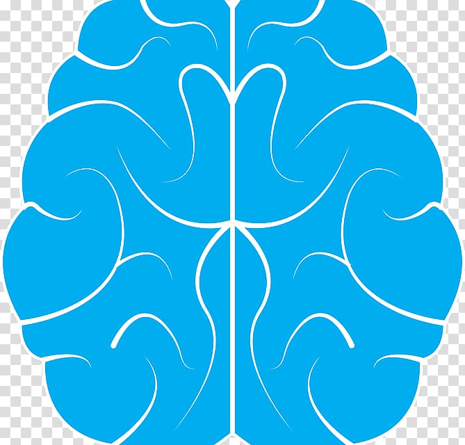 Human brain Computer Icons, Brain transparent background PNG clipart