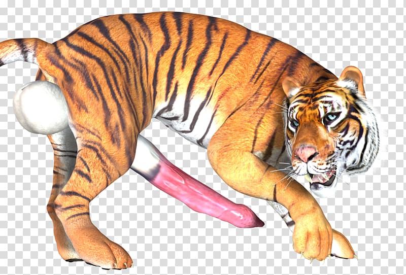 Tiger Cat Computer Icons Wildlife Portable Network Graphics, tiger 3d transparent background PNG clipart