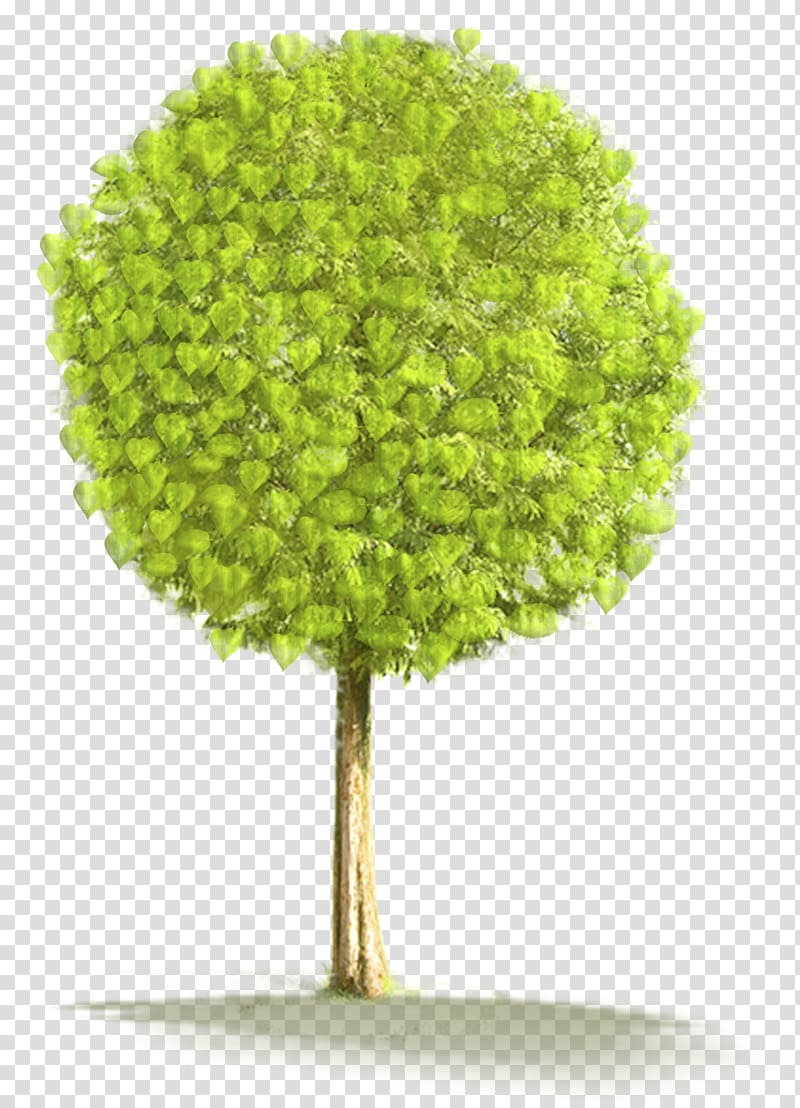 green leaf tree illustration, , Large Tree transparent background PNG clipart