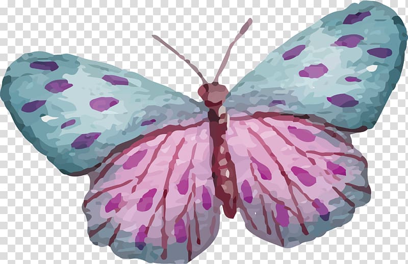 Butterfly Nymphalidae, Creative Colorful Butterfly transparent background PNG clipart
