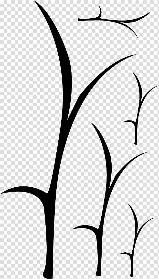 Twig Silhouette Line art Plant stem , vinilo transparent background PNG clipart