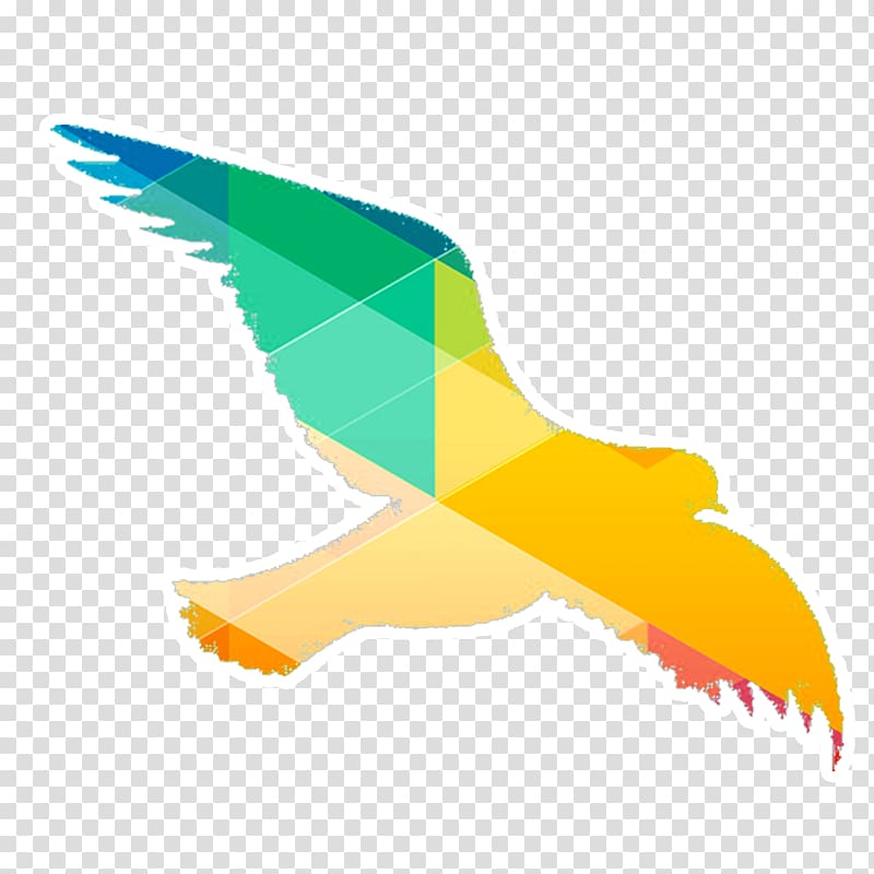 Bird, Dove color silhouette material transparent background PNG clipart