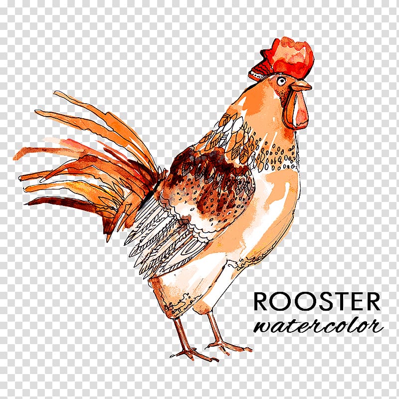 Rooster Chicken Flower Icon, cock transparent background PNG clipart