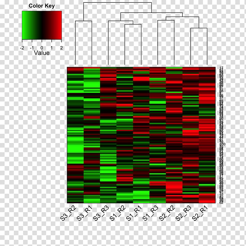 Heat map Dendrogram Matrix Data, Dendrogram transparent background PNG clipart