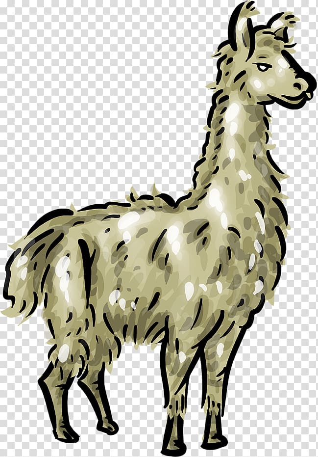 Llama , Llama Head transparent background PNG clipart