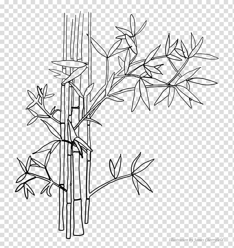 Line art Drawing Digital art , bamboo painting transparent background PNG clipart