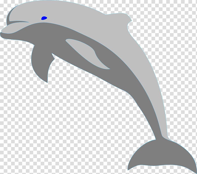 Bottlenose dolphin , Gray dolphins transparent background PNG clipart