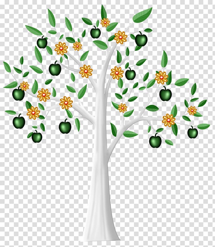 Tree Drawing Apple , Zhang a full apple tree transparent background PNG clipart