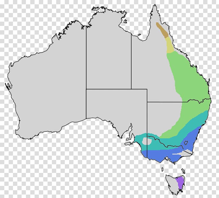 Australia Noisy miner Distribution Bell miner Map, Australia transparent background PNG clipart