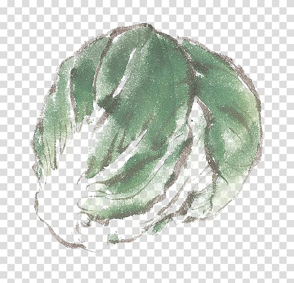 Vegetable Napa cabbage , Cabbage Ink transparent background PNG clipart